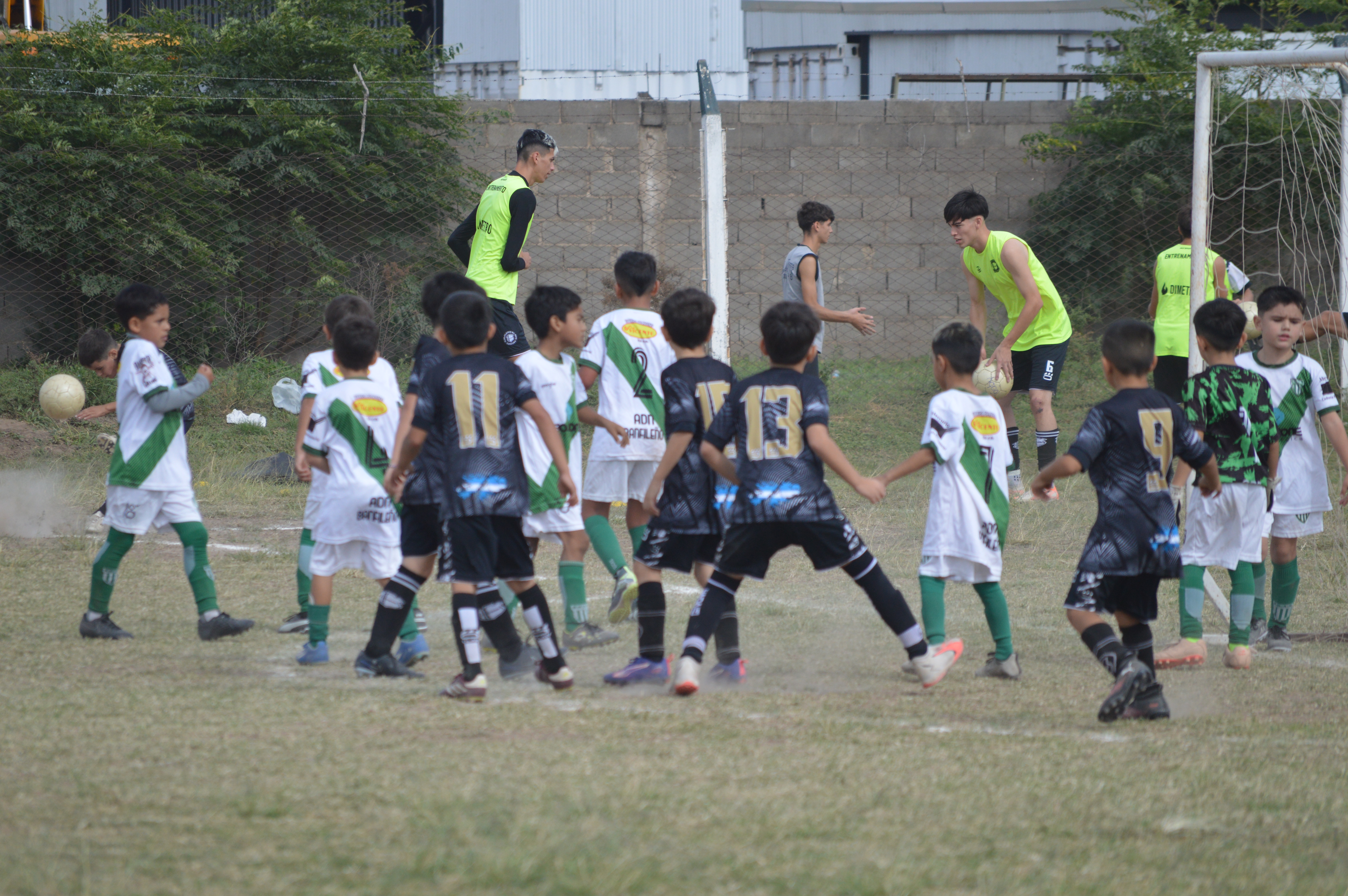 Imagen 3